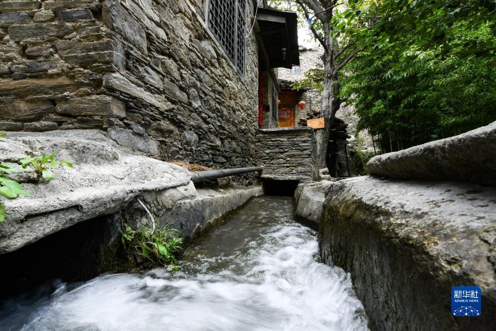 送金币棋牌手游